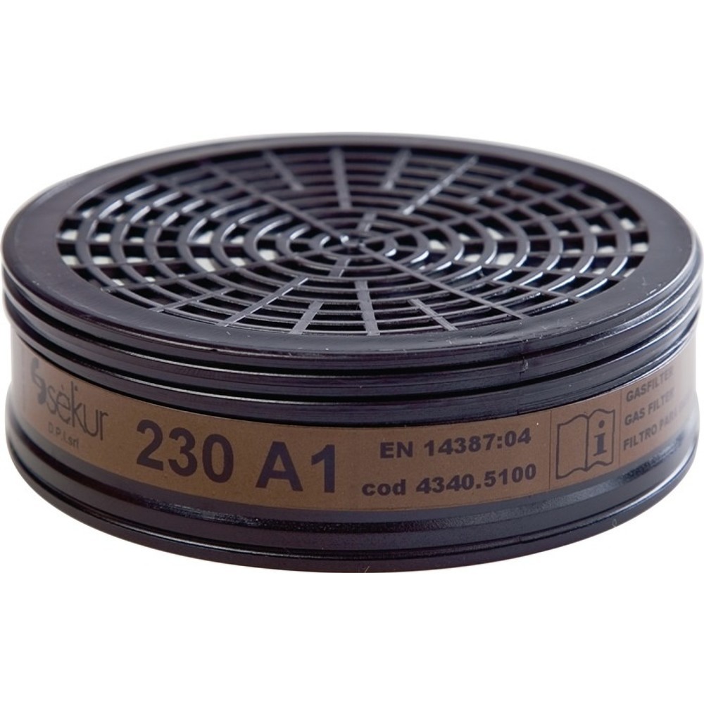 Image of  prüfpflichtig: jaEKASTU Gasfilter 230 EN 14387:2004+A1:2008 A1 EKASTU Gasfilter 230 EN 14387:2004+A1:2008 A1