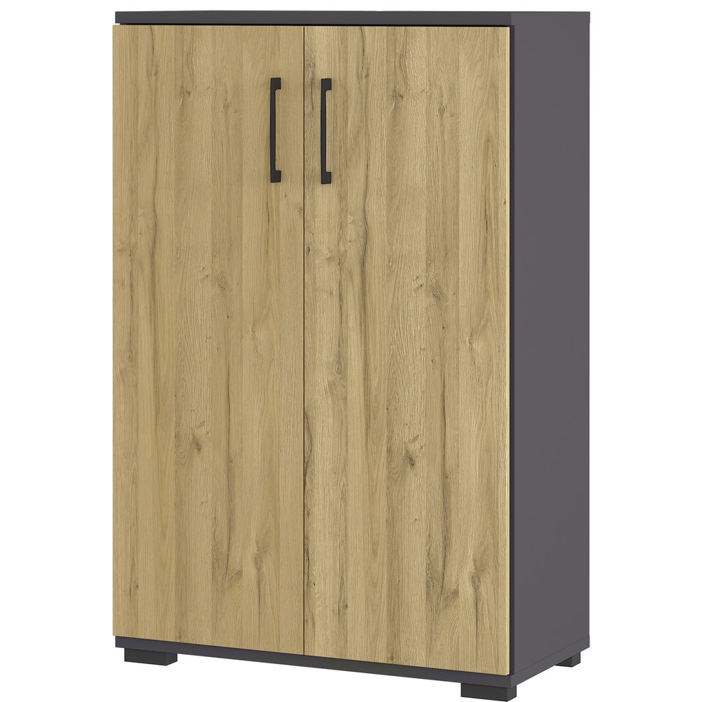 Illustration du produit: Armoire à dossiers PROFI, 2 portes battantes, hauteur 1 230 mm, largeur 800 mm, graphite/imitation chêne Grandson