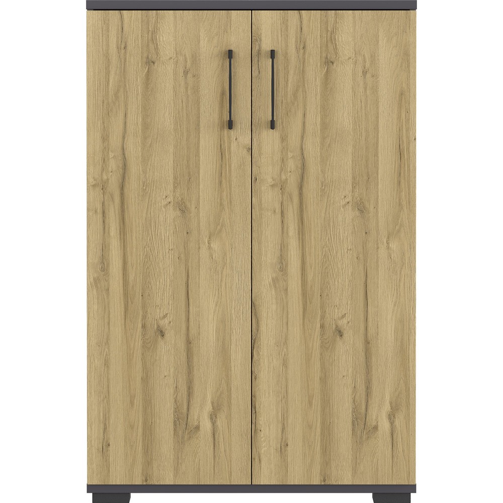 Produktabbildung Nr. 2: Armoire à dossiers PROFI, 2 portes battantes, hauteur 1 230 mm, largeur 800 mm, graphite/imitation chêne Grandson