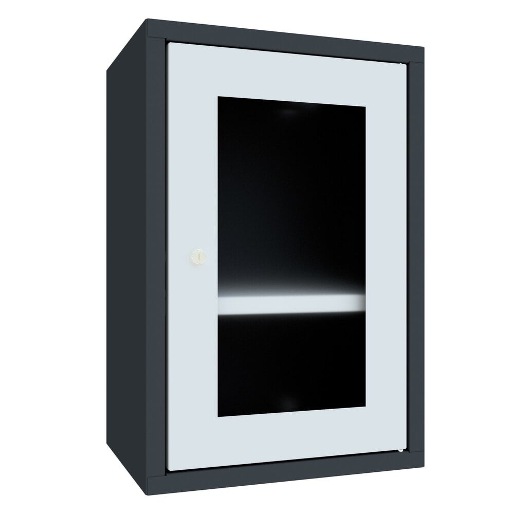 Illustration du produit: Armoire suspendue PAVOY avec regard, H x l x P 600 x 400 x 300 mm, gris clair, gris anthracite