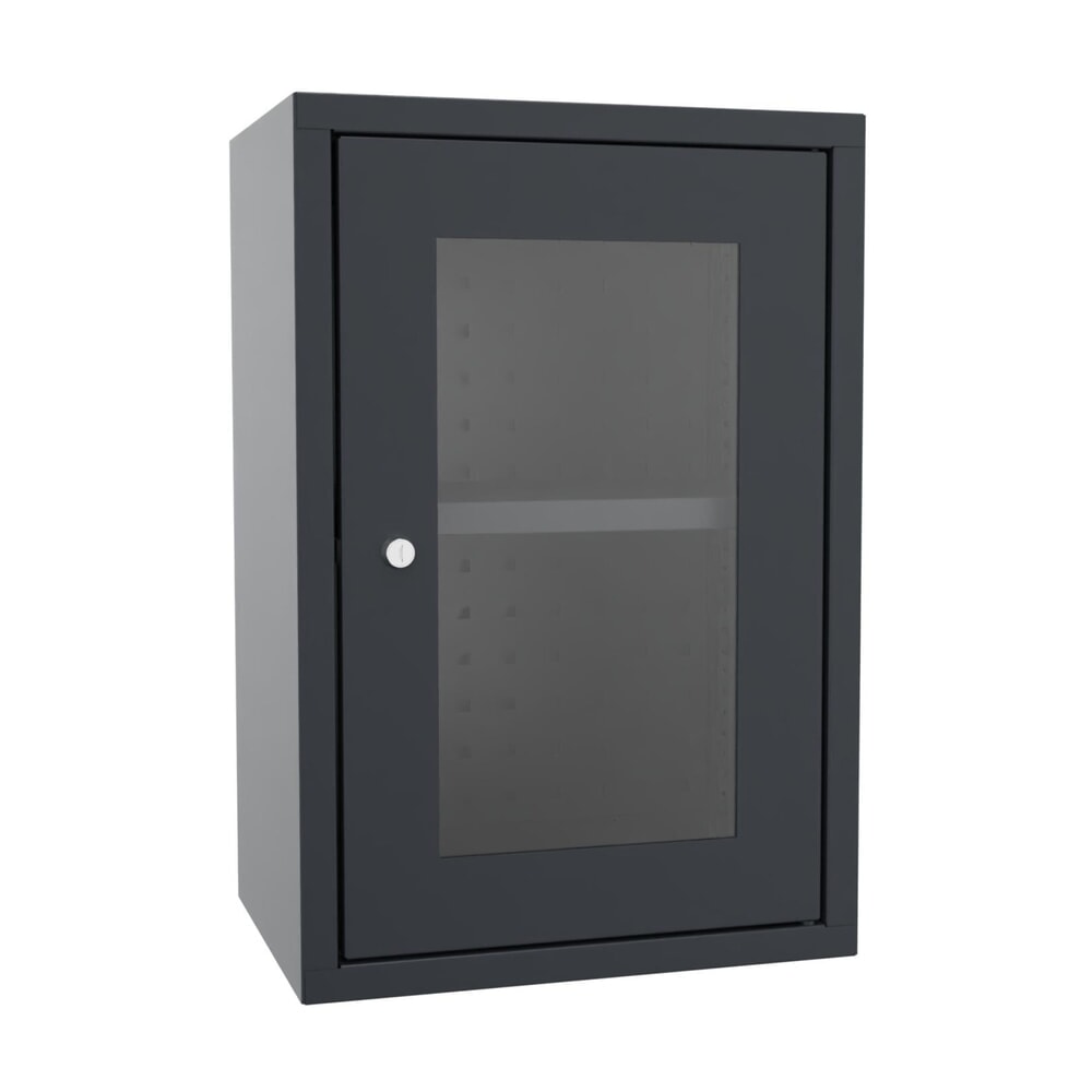 N° de l'image du produit 1 : Armoire suspendue PAVOY avec regard, H x l x P 600 x 400 x 300 mm, paroi arrière perforée, gris anthracite, gris anthracite