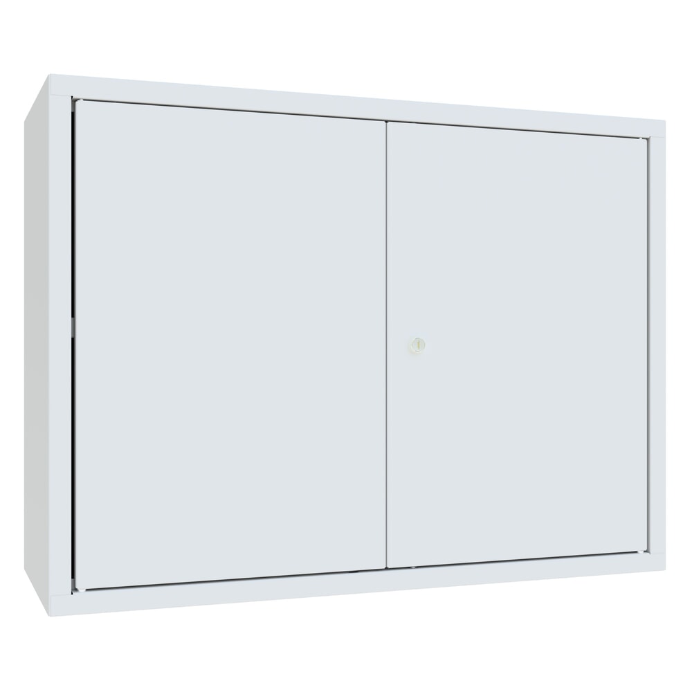 Produktabbildung Nr. 1: Armoire suspendue PAVOY, H x l x P 600 x 800 x 300 mm, paroi arrière perforée, gris clair, gris clair