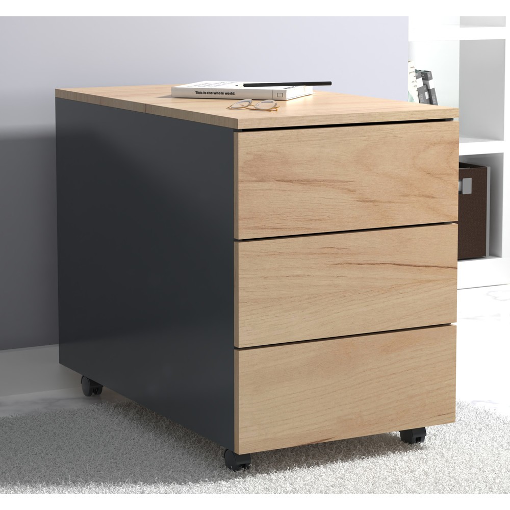 Produktabbildung Nr. 3: Caisson roulant Dalosa 70 3-SB, chêne miel