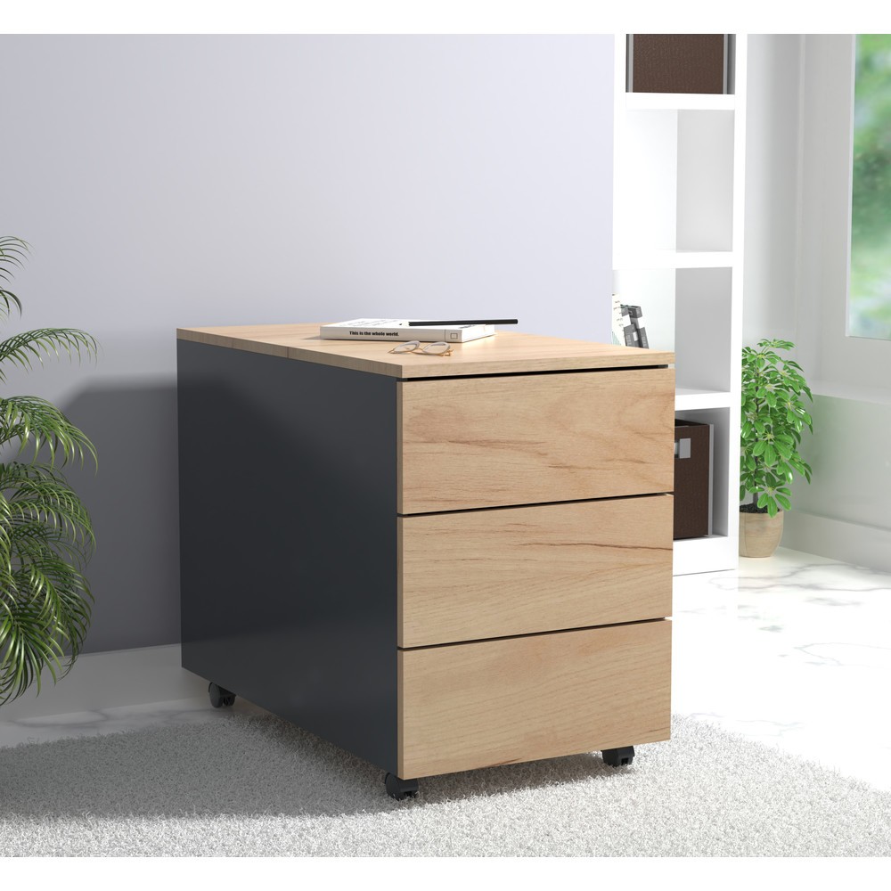 Produktabbildung Nr. 4: Caisson roulant Dalosa 70 3-SB, chêne miel