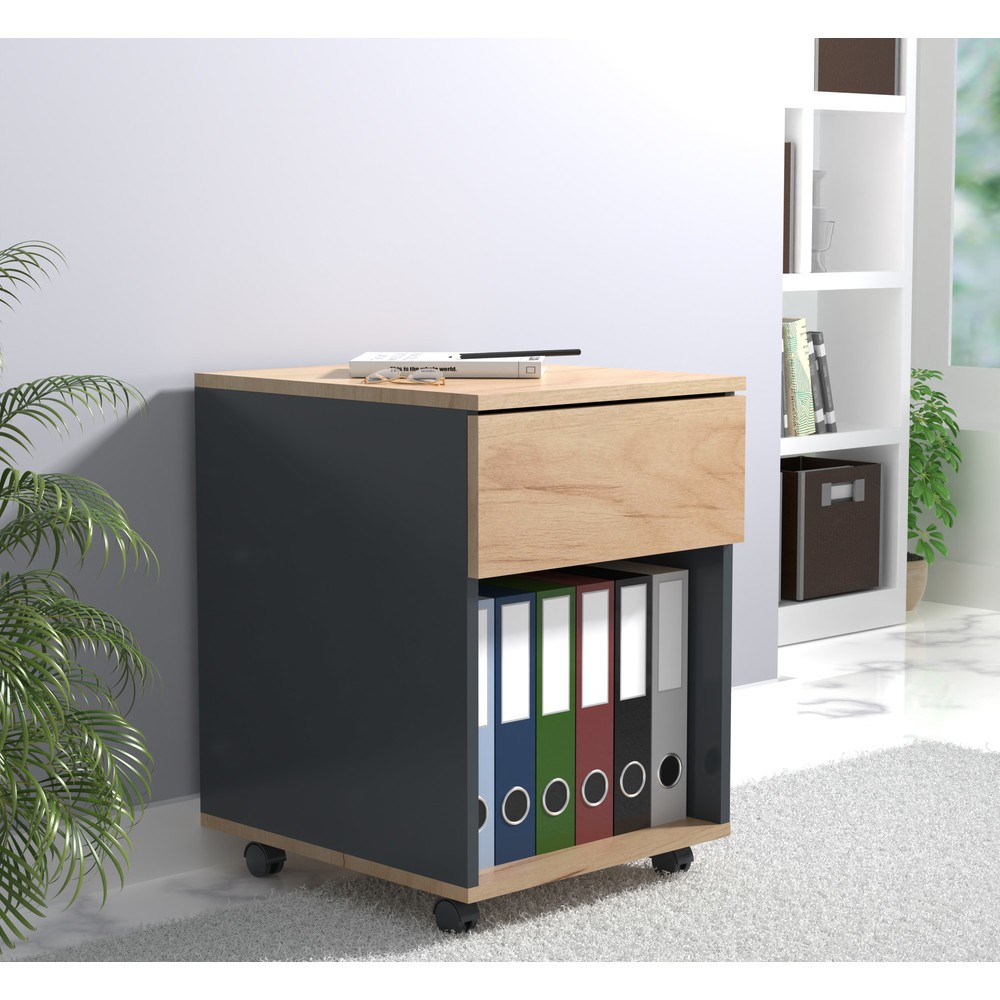 Produktabbildung Nr. 4: Caisson roulant Dalosa 45 1-SB, chêne miel