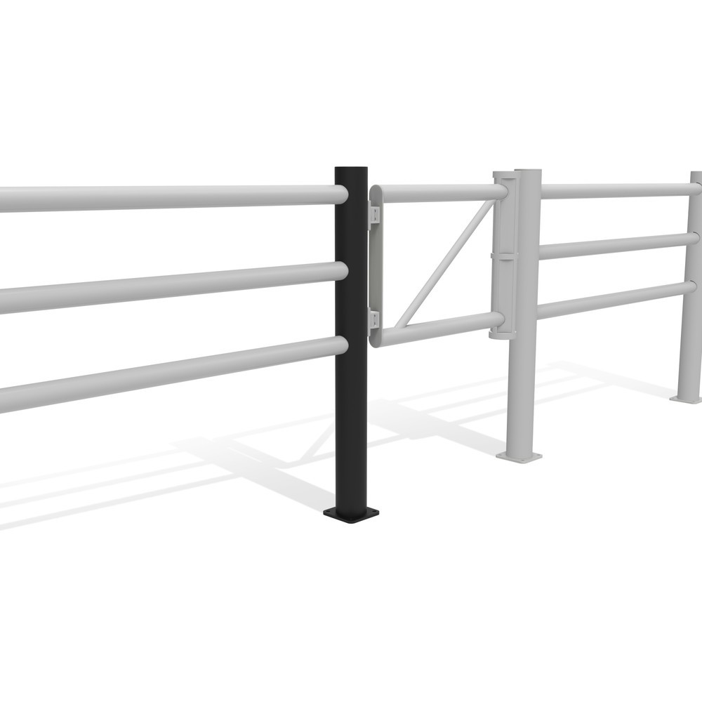 Produktabbildung Nr. 11: dancop Poteau central de porte battante pour garde-corps de sécurité « Delta », Ø 110 mm, hauteur 1 200 mm