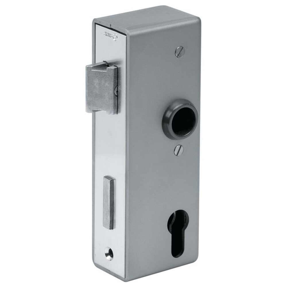 Produktabbildung: AMF Schlosskasten 141U, blank, Mass A30xB60xC172 mm, DIN links / rechts, Dornmass 40 mm