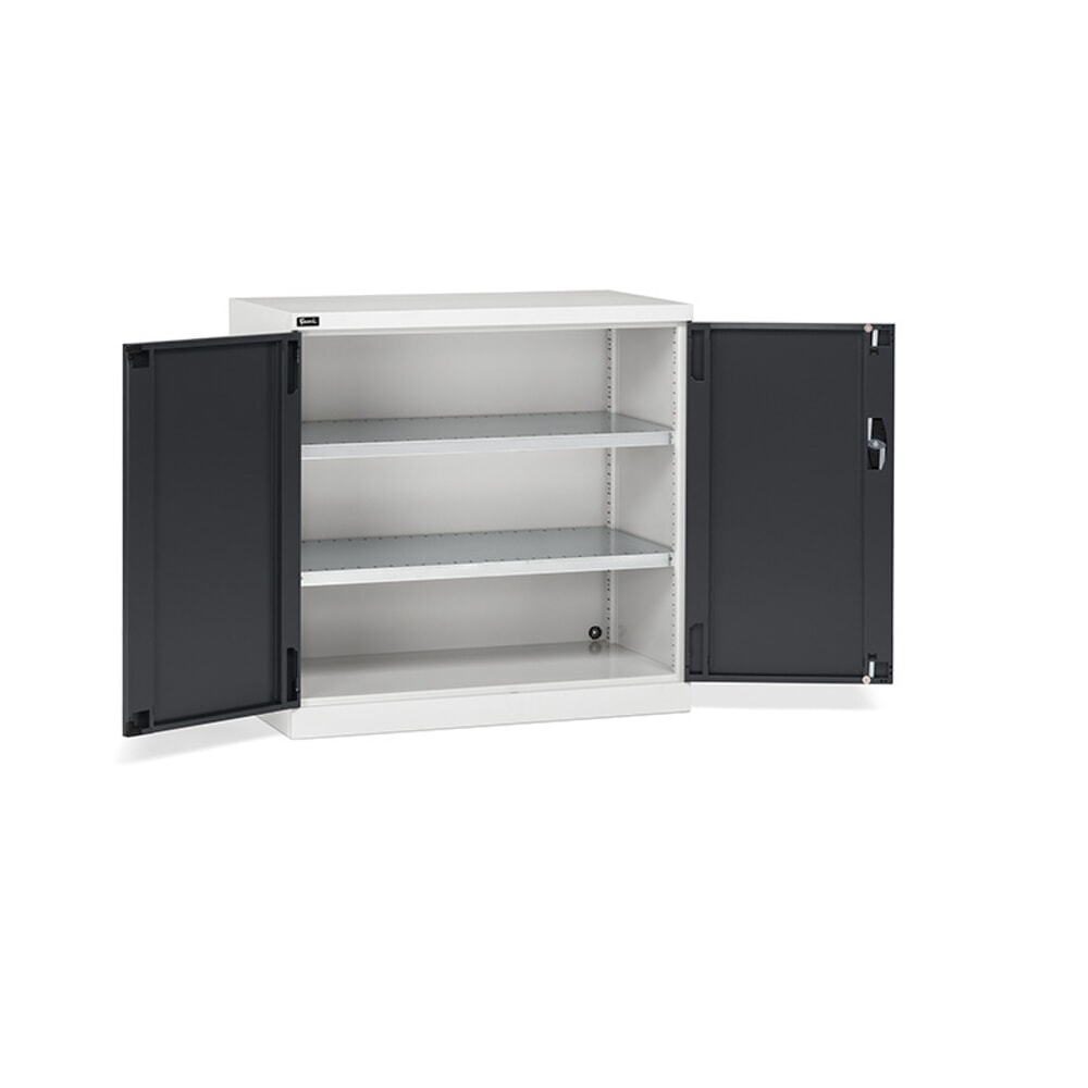 Produktabbildung: Fami PERFOM Flügeltürschrank, 2 Fachböden, HxBxT 1.000 x 1.023 x 555 mm, lichtgrau, anthrazit