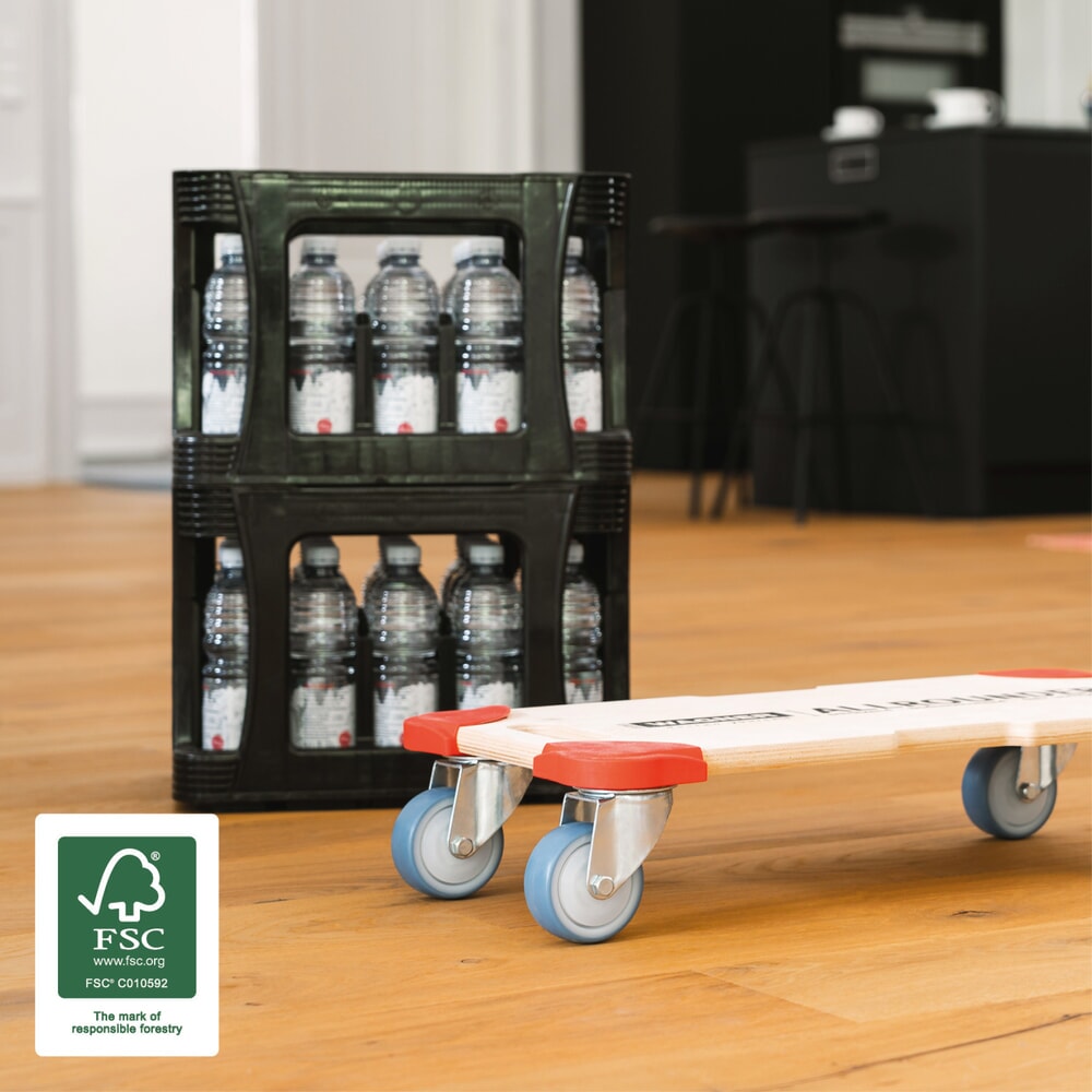 Produktabbildung Nr. 7: WAGNER Transporthilfe Multiplex PROTECTION - 59 x 29 x 11 cm, TK 400 Kg