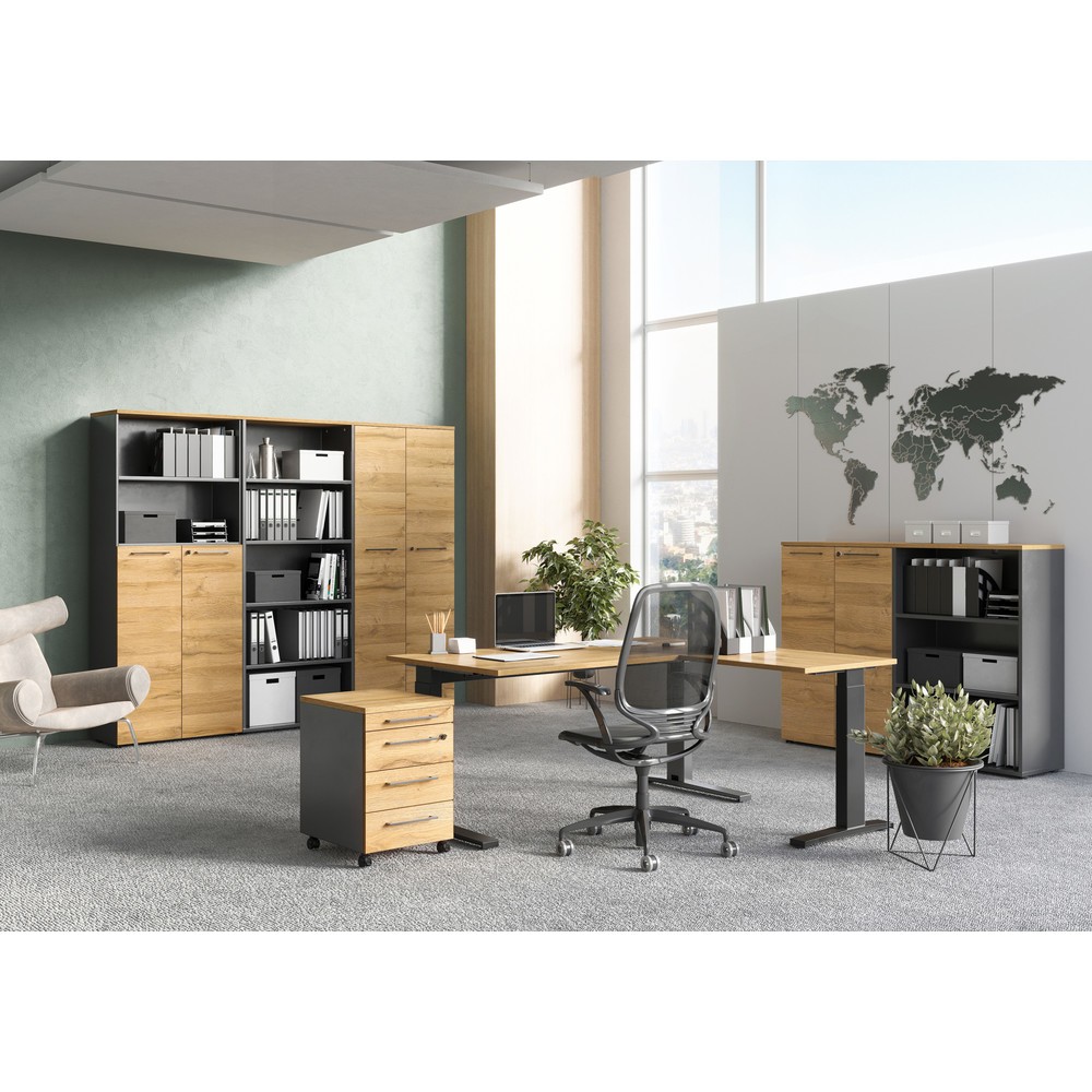 Produktabbildung Nr. 5: Étagère à dossiers AGENDA, 3 compartiments, hauteur 1 200 mm, largeur 450 mm, graphite/imitation chêne Grandson