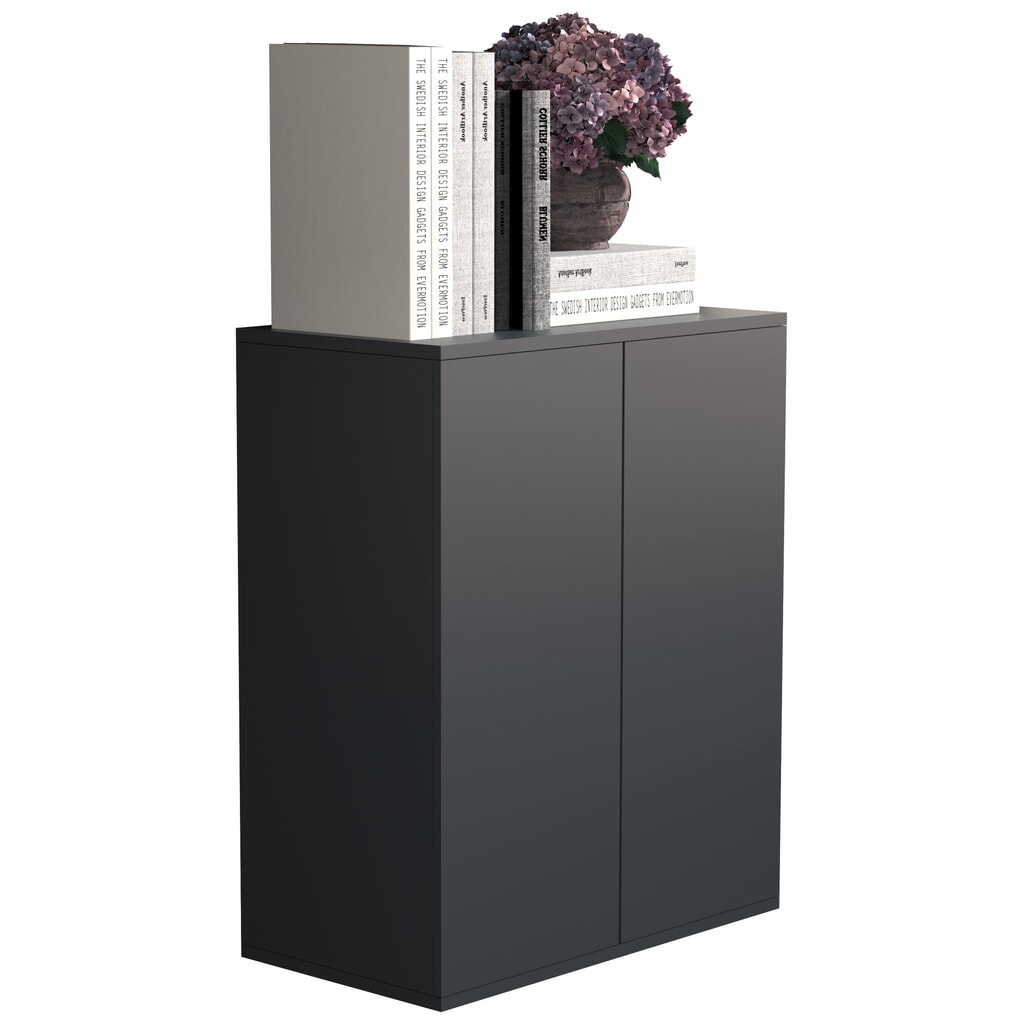 Illustration du produit: VCM Armoire Dalosa 2 compartiments, anthracite