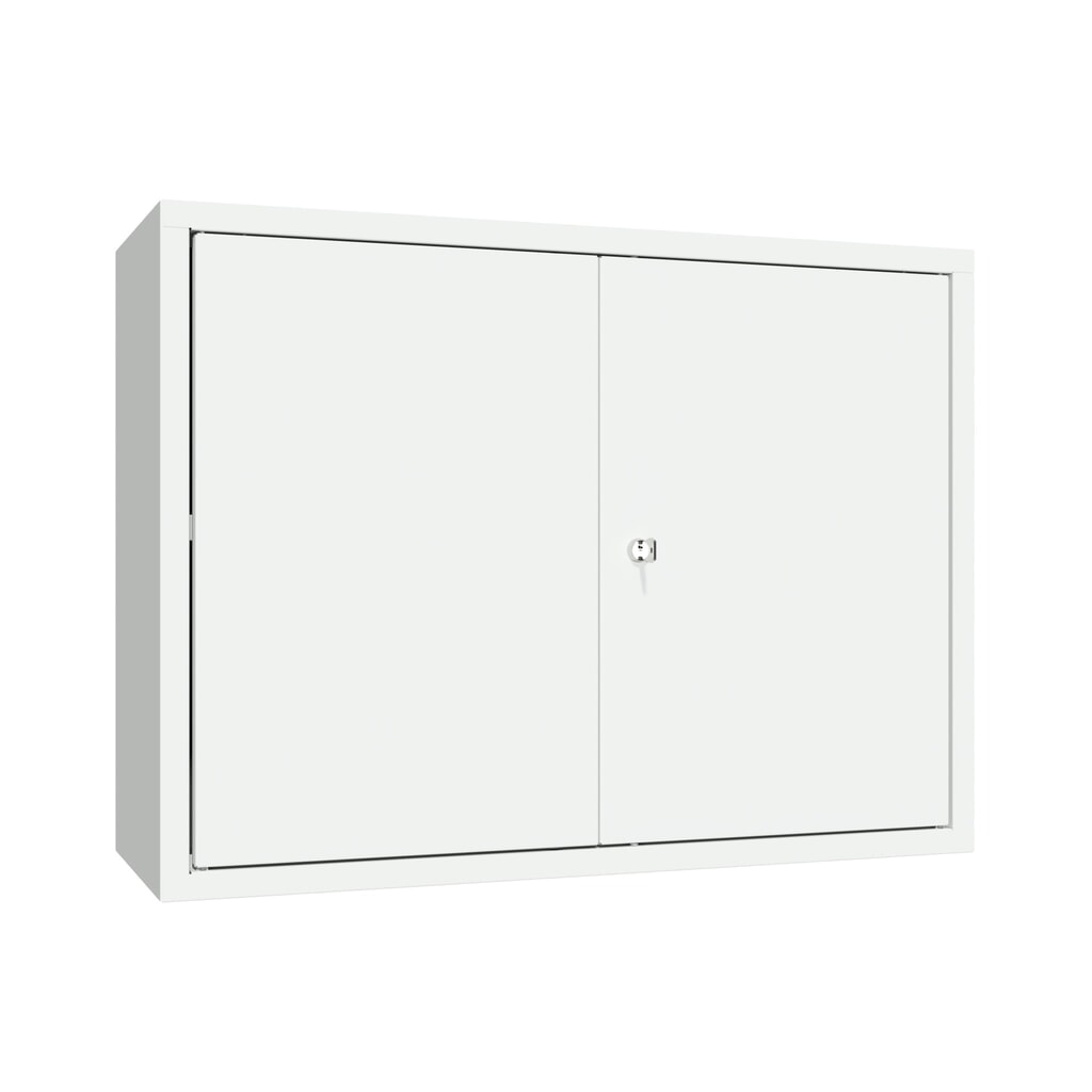 Armoire suspendue PAVOY, H x l x P 600 x 800 x 300 mm, gris clair, gris clair Illustration du produit: Armoire suspendue PAVOY, H x l x P 600 x 800 x 300 mm, gris clair, gris clair