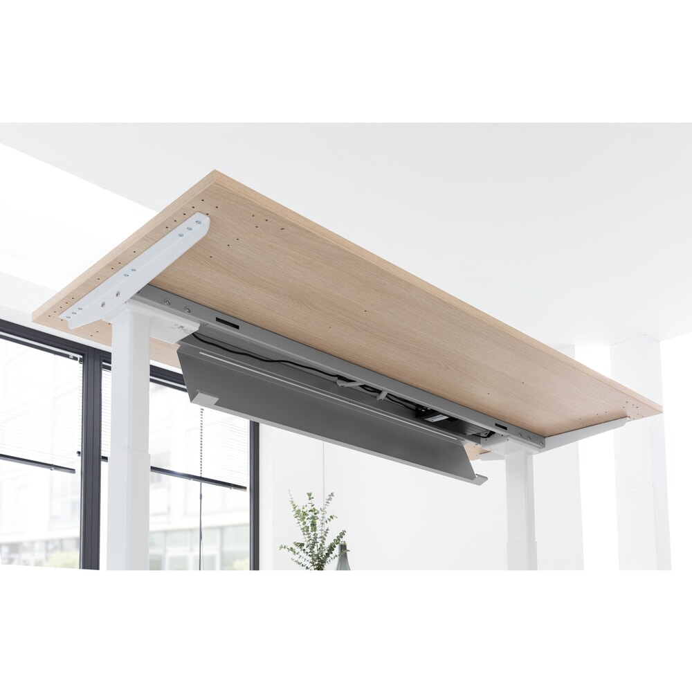 N° de l'image du produit 3 : Bureau Hammerbacher à hauteur réglable électriquement, avec interrupteur à mémoire, pied en C, L x P 1 600 x 800 mm, érable