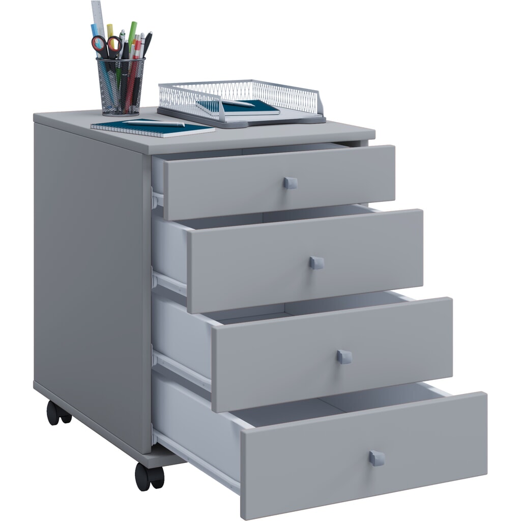 Illustration du produit: Bac à rouleaux Lona HxLxP 570 x 420 x 500 mm Gris