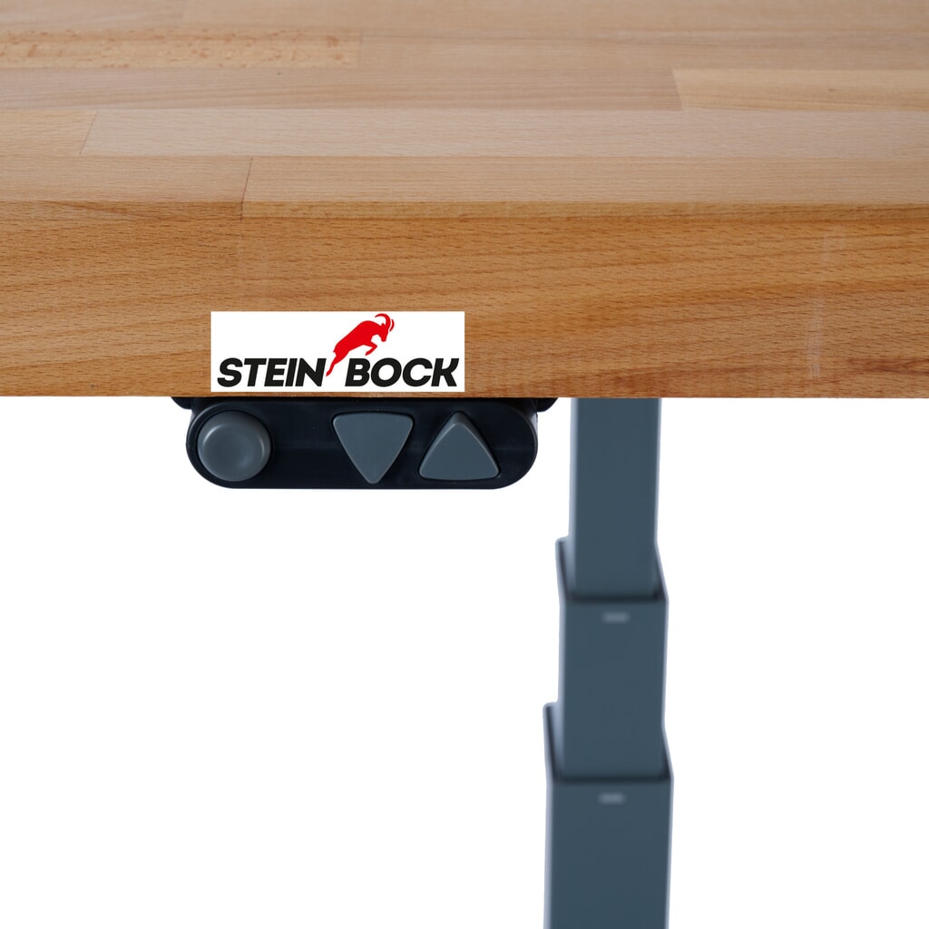 N° de l'image du produit 3 : Établi électriquement réglable en hauteur e-Adjust Steinbock®, avec panneau perforé, H x l x p 700-1 170 x 2 000 x 750 mm, capacité de charge 350 kg