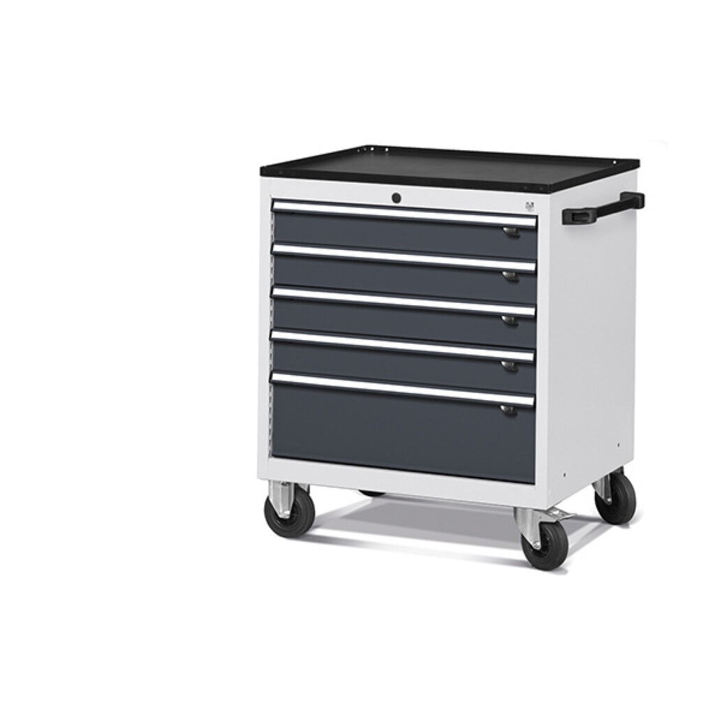 Fami FLEXA Armoire mobile à tiroirs, 5 tiroirs, HxlxP 853 x 794 x 600 mm, gris clair, anthracite Illustration du produit: Fami FLEXA Armoire mobile à tiroirs, 5 tiroirs, HxlxP 853 x 794 x 600 mm, gris clair, anthracite