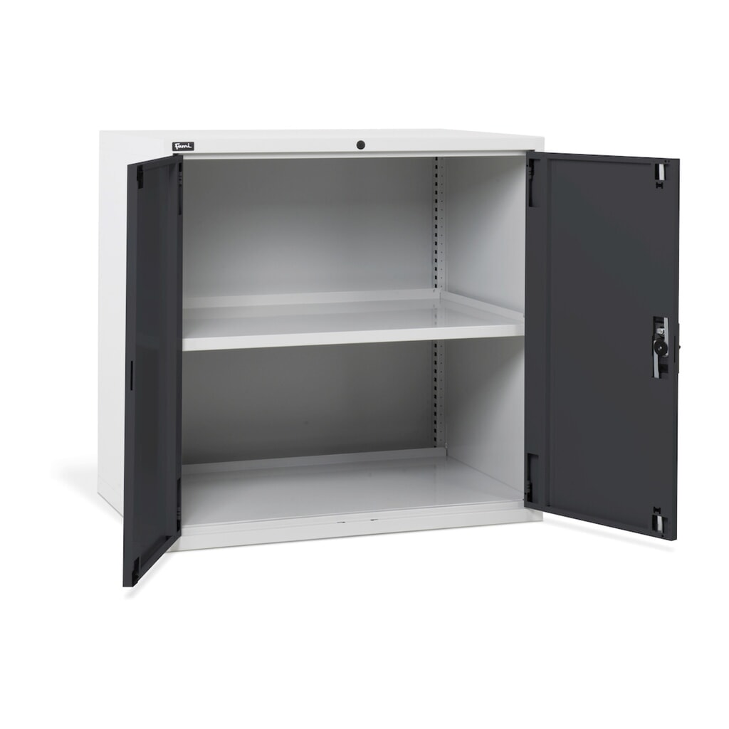 Fami MASTER Armoire avec portes battantes, HxlxP 1 000 x 1 020 x 726 mm, gris clair, anthracite Illustration du produit: Fami MASTER Armoire avec portes battantes, HxlxP 1 000 x 1 020 x 726 mm, gris clair, anthracite