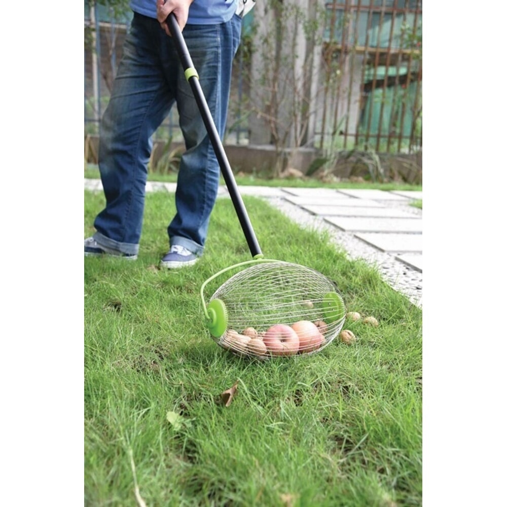 N° de l'image du produit 2 : FREUND VICTORIA Nuss- und Obstsammler 68090, mit teleskopierbarem Stiel, Breite 30 cm