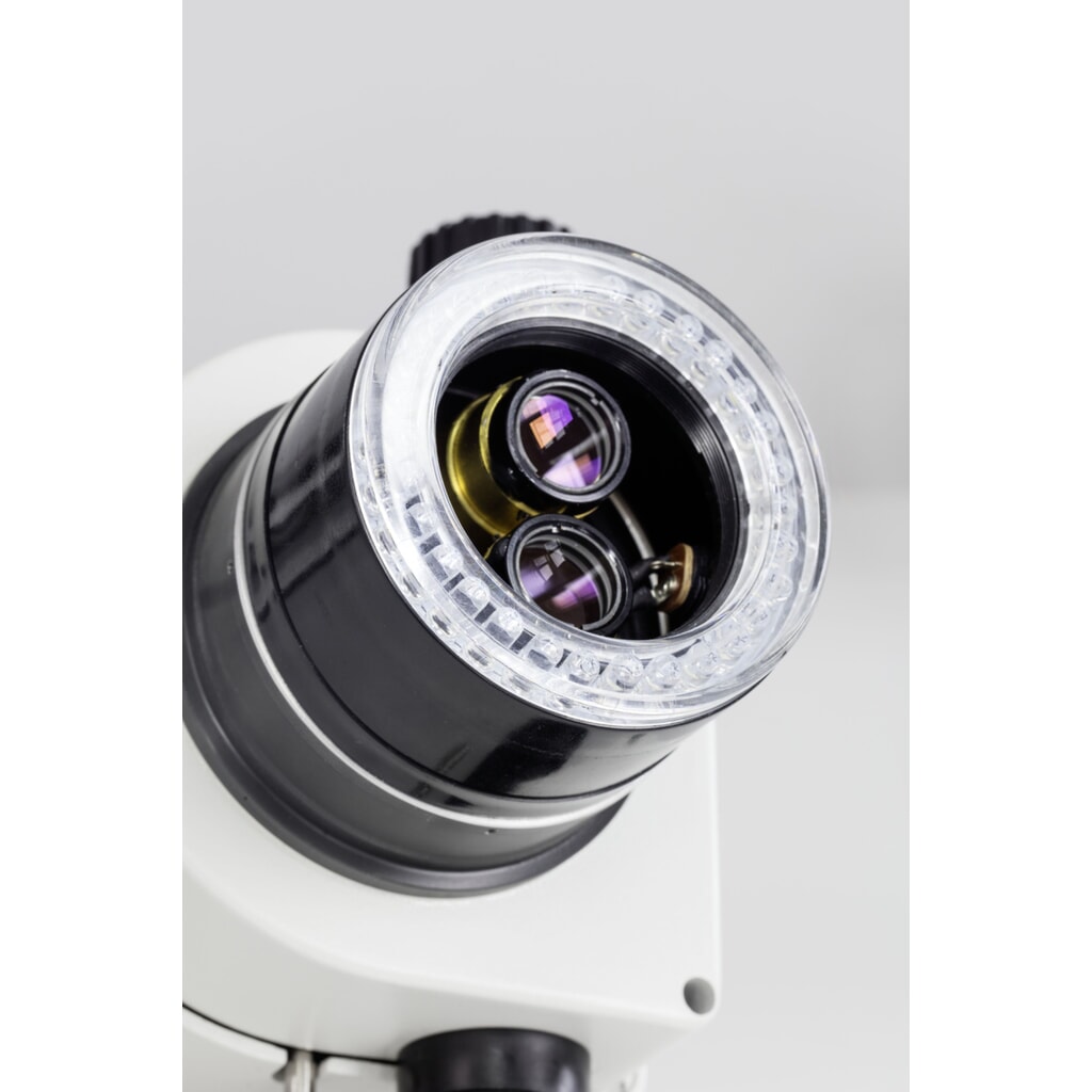 KERN Optics Microscope stéréo à zoom OZL 465 N° de l'image du produit 5 : KERN Optics Microscope stéréo à zoom OZL 465