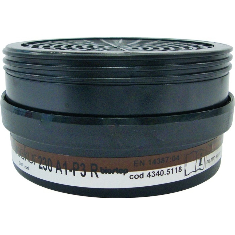 Illustration du produit: EKASTU Kombinationsfilter 230 A1-P3R D f.2