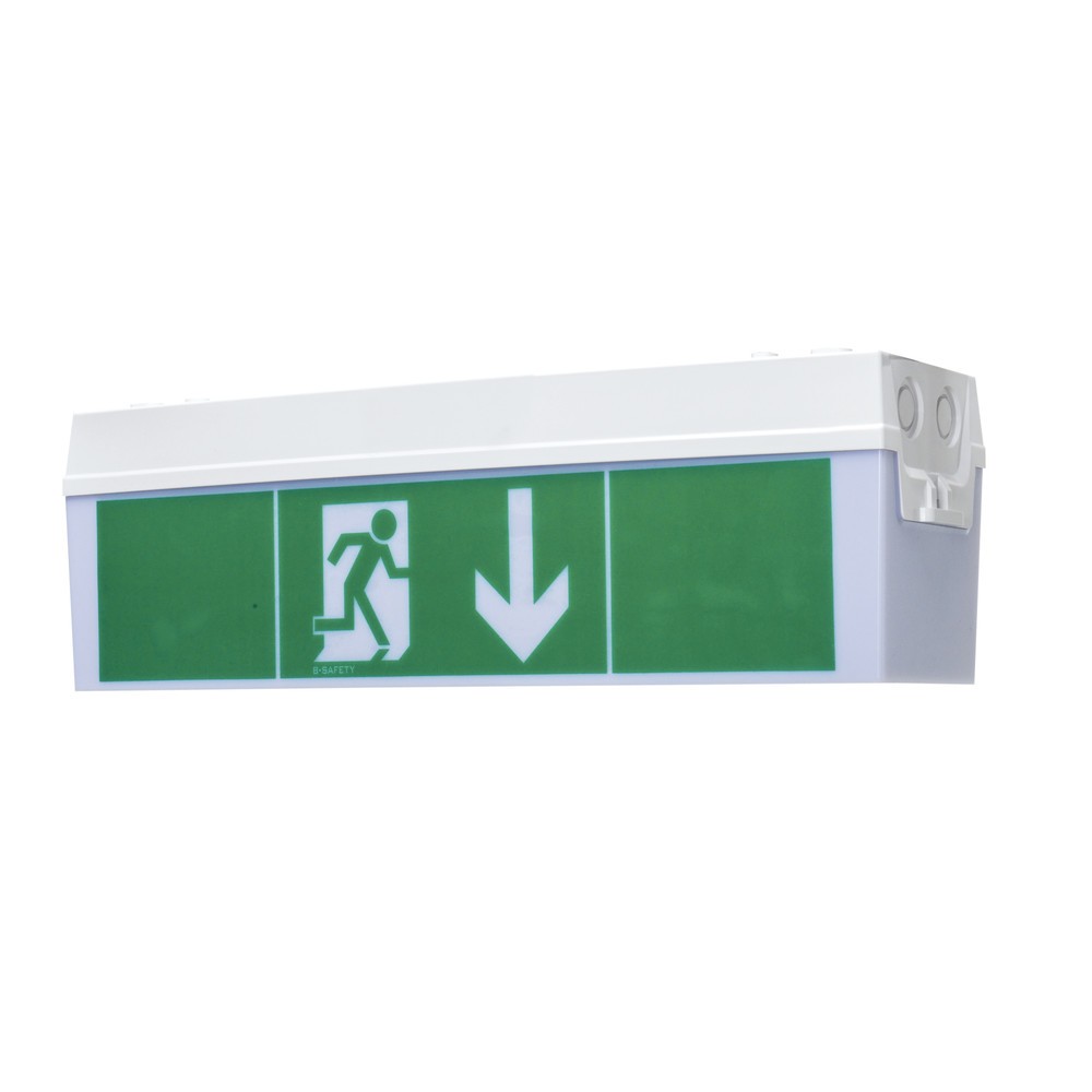 Illustration du produit: Lampe de secours Basic, montage mural et au plafond, classe de protection II, IP 54