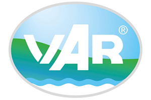 Logo VAR