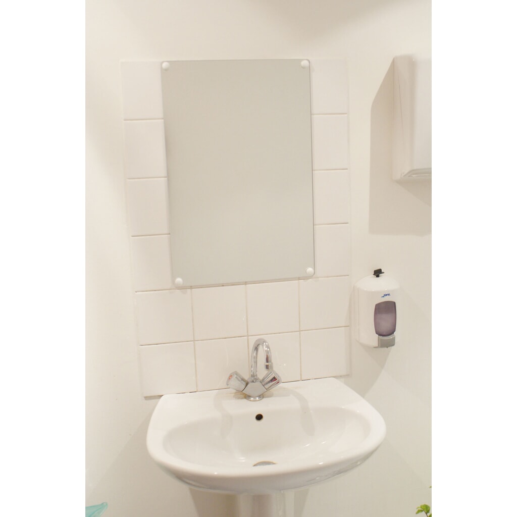 N° de l'image du produit 2 : Miroir plat Vialux®, verre acrylique (PMMA), H x l 600 x 400 mm, sans cadre