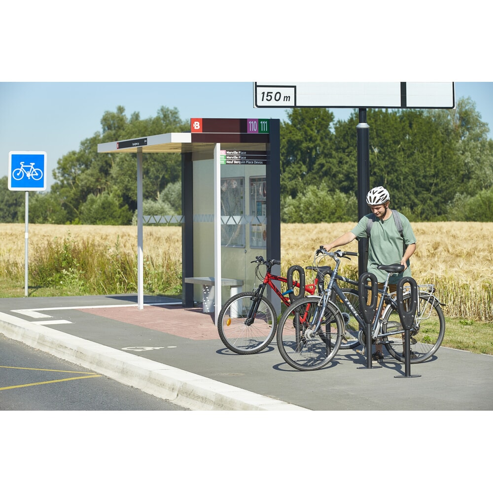 N° de l'image du produit 6 : MOTTEZ Poteau pour 2 vélos, longueur 260 mm
