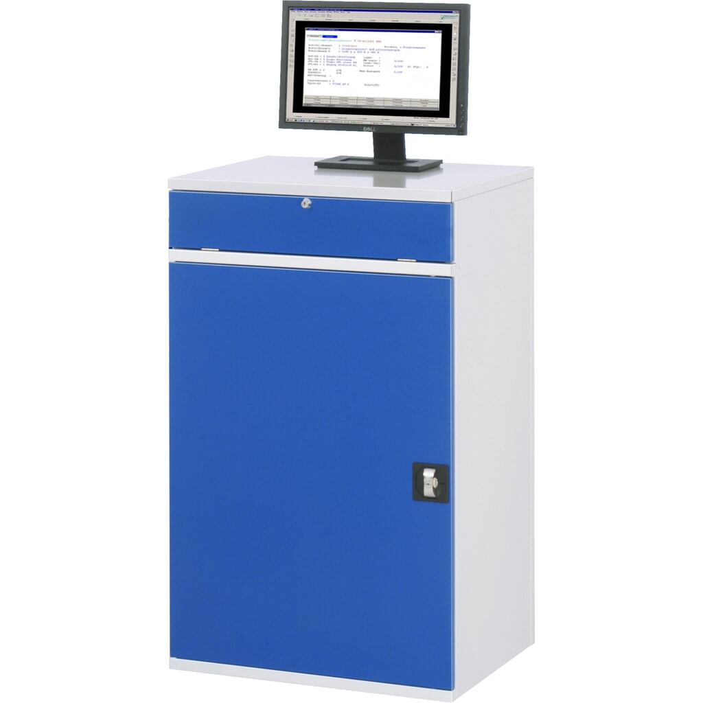 N° de l'image du produit 3 : RAU Armoire informatique, HxlxP 1 060 x 650 x 520 mm, avec 1 porte battante et porte-clavier coulissant