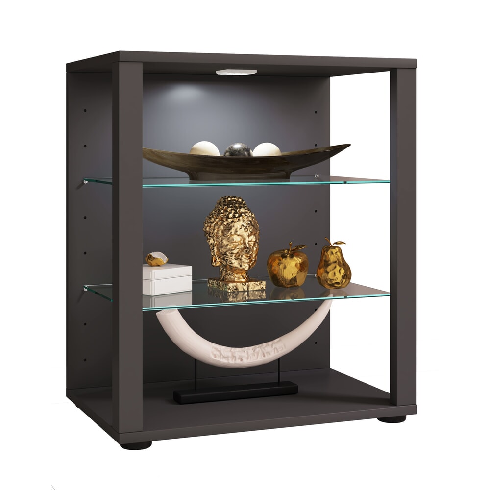 Illustration du produit: Vitrine VCM Glasol S, anthracite