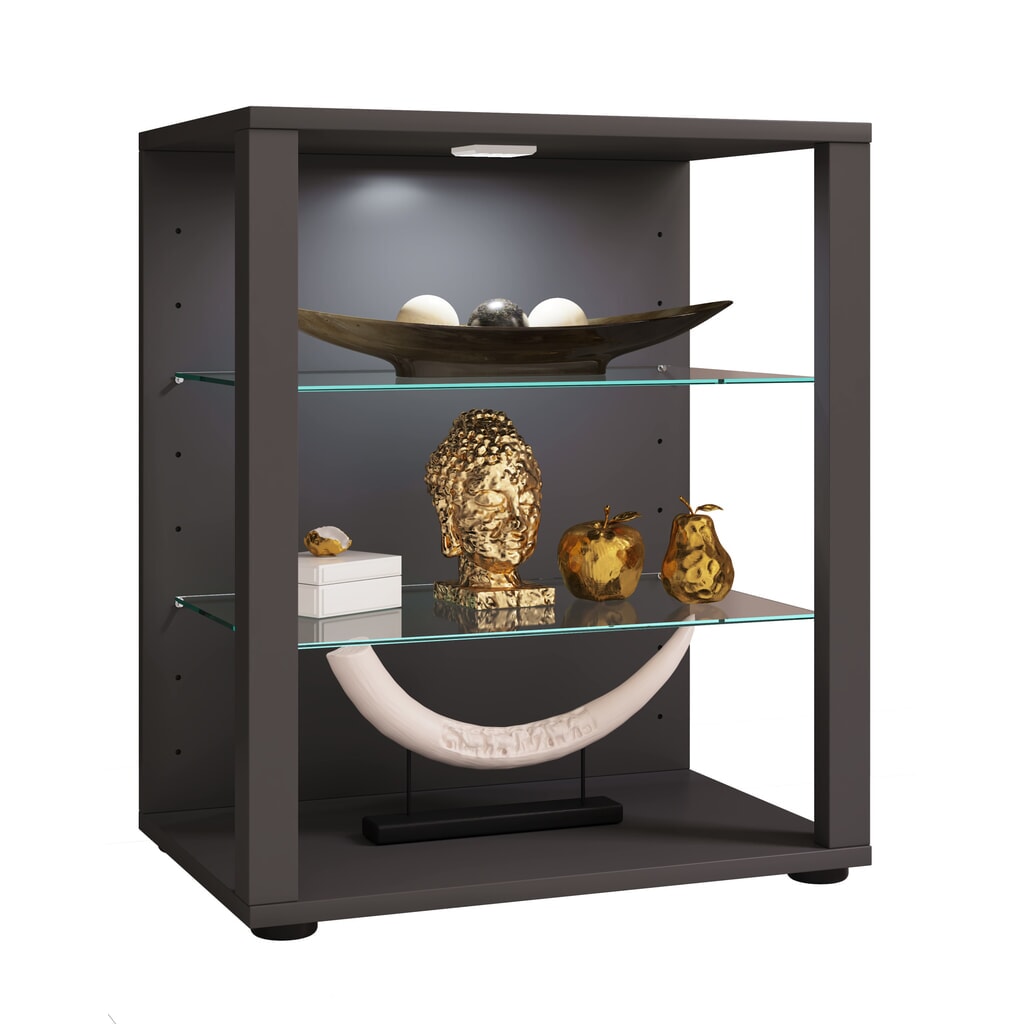 Vitrine VCM Glasol S, anthracite Illustration du produit: Vitrine VCM Glasol S, anthracite
