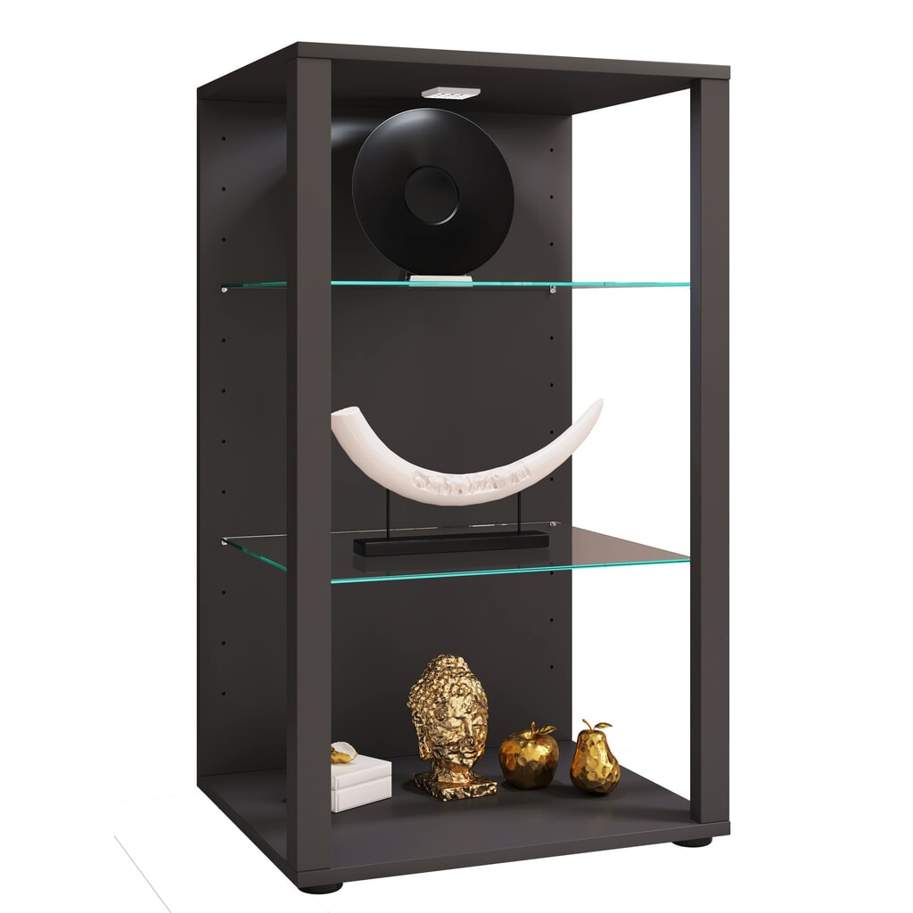 Vitrine VCM Glasol XXL, anthracite Illustration du produit: Vitrine VCM Glasol XXL, anthracite