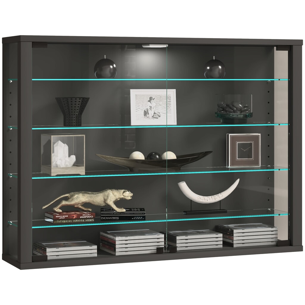 Vitrine murale VCM Vitrosa L, anthracite Illustration du produit: Vitrine murale VCM Vitrosa L, anthracite