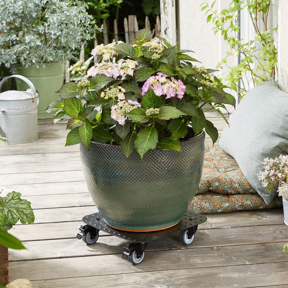 N° de l'image du produit 2 : WAGNER Rouleur pour plantes ALASKA BLACK 29 x 29 x 7,5 cm, capacité de charge 150 kg