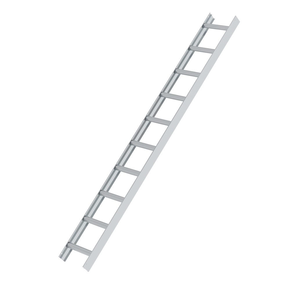 Produktabbildung Nr. 1: Munk Dachleiter Alu Natur 10 Sprossen
