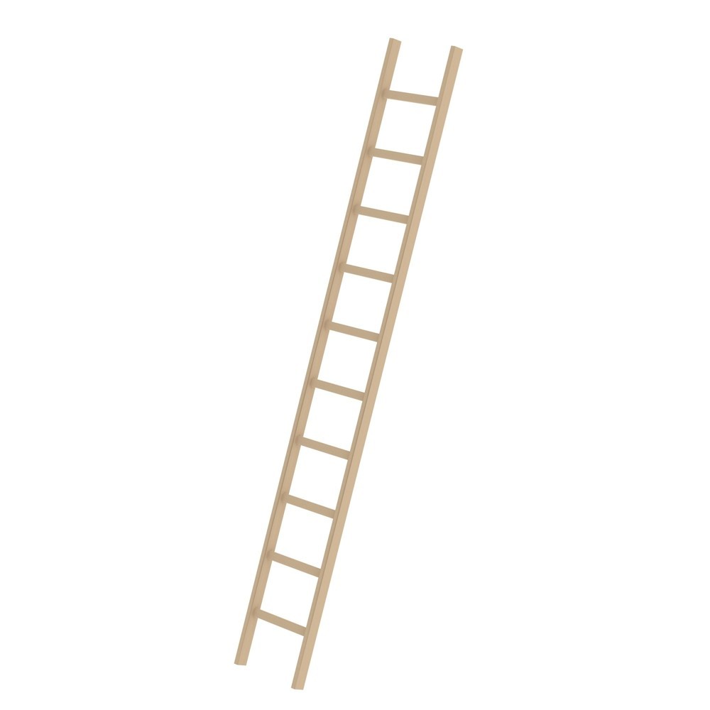 N° de l'image du produit 1 : Munk Échelle d'appui à barreaux en bois sans traverse ,10 barreaux