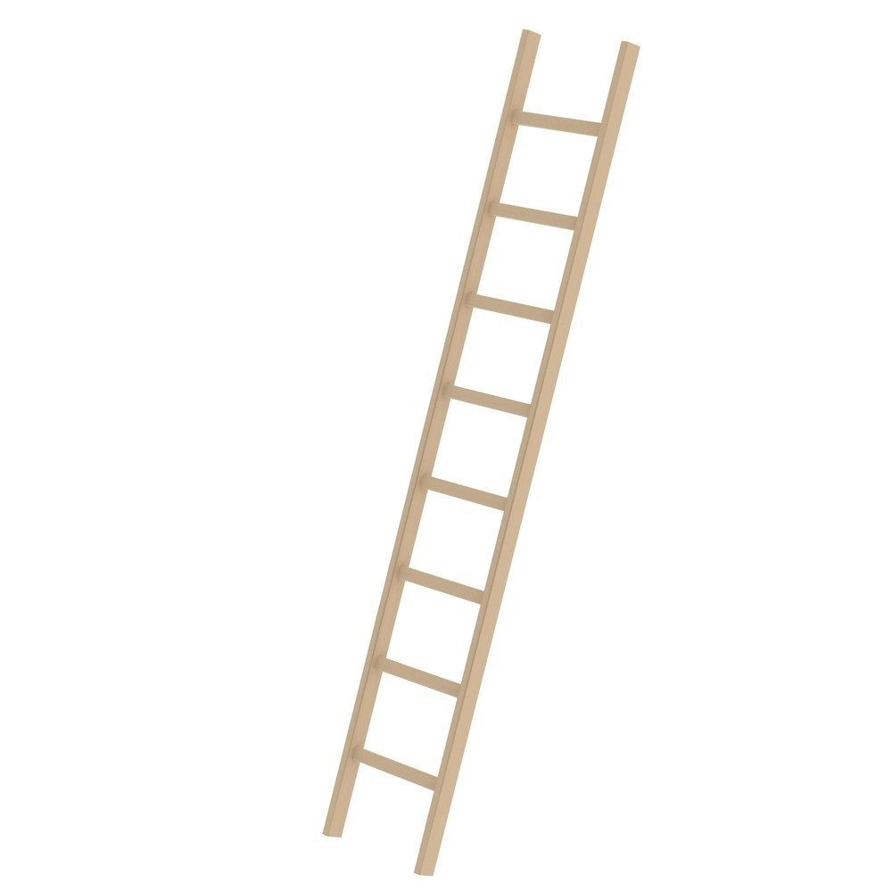 Produktabbildung Nr. 1: Munk Sprossen-Anlegeleiter Holz ohne Traverse 8 Sprossen