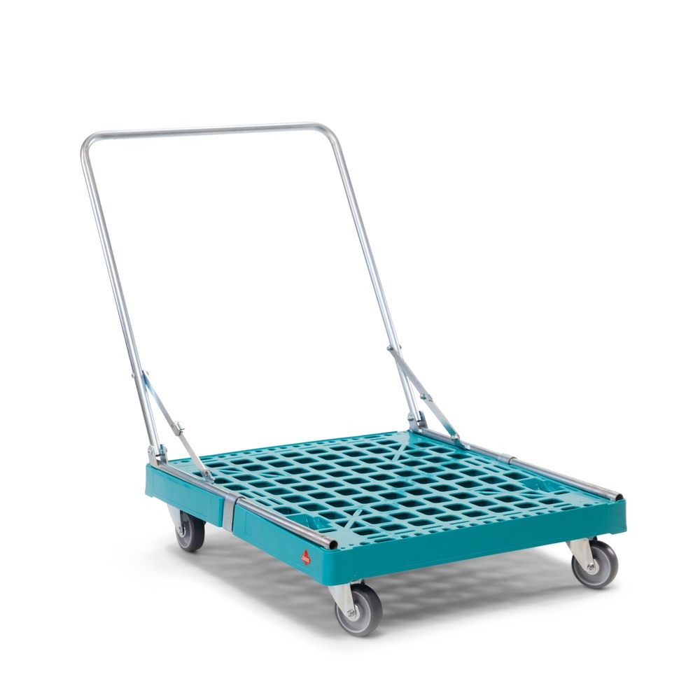 Illustration du produit: Ameise® Plateau à roulettes avec dossier de poussée, capacité de charge 300 kg, 2 roues fixes et 2 roues directrices