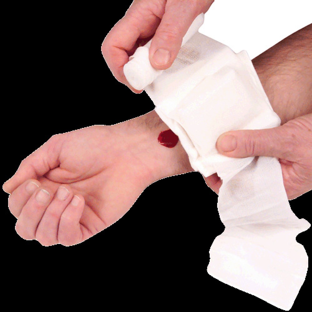 Produktabbildung Nr. 2: Plum Wundverband-Set QuickStop, VE 6x 3 Stk