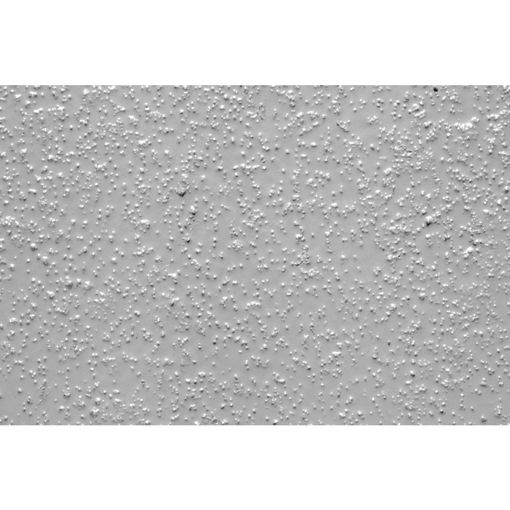 Illustration du produit: Revêtement de sol antidérapant Extra Stark, granulation fine, gris clair