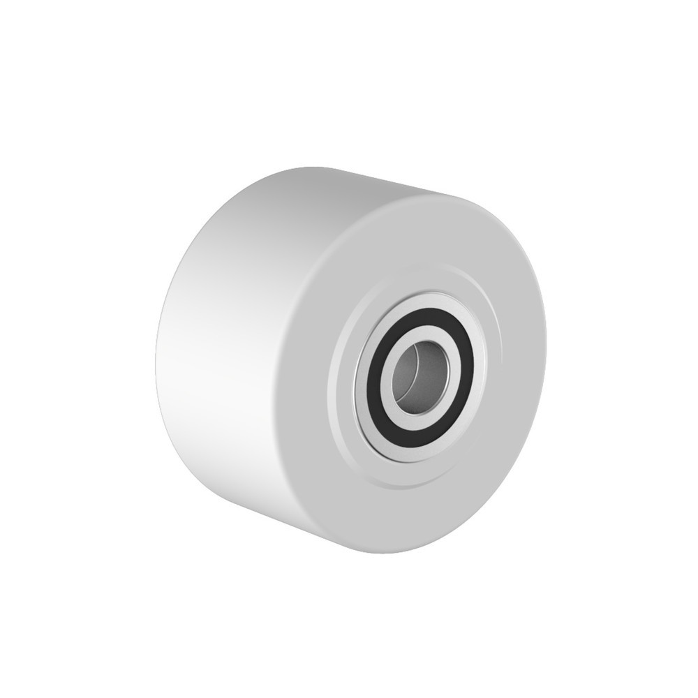 Illustration du produit: Roue pour charges lourdes Wicke en polyamide, roulement à billes, Ø x largeur 100 x 55 mm, capacité de charge 1 500 kg