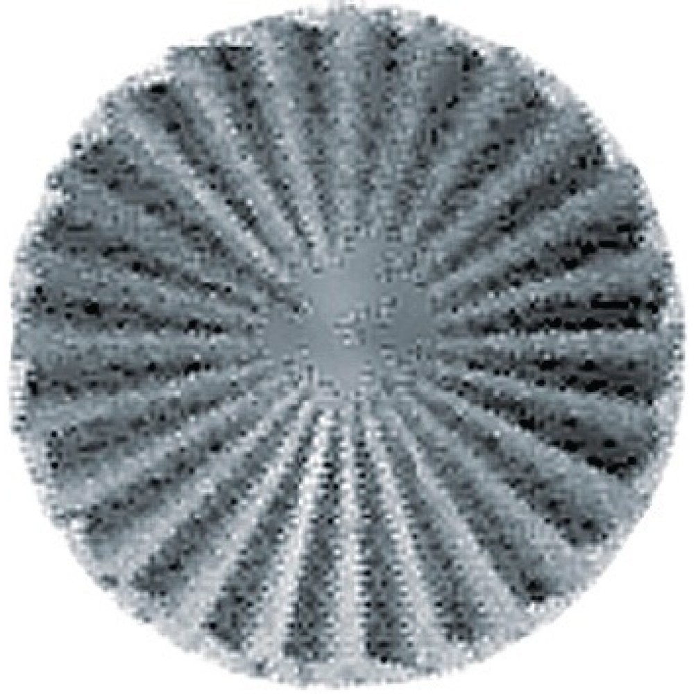 Illustration du produit: RUKO Frässtift ZYA, Hartmetall Blank, Ø 6 mm Kopflänge 18 mm Schaft-Ø 6 mm, Verzahnung KVZ 4 mit Stirn