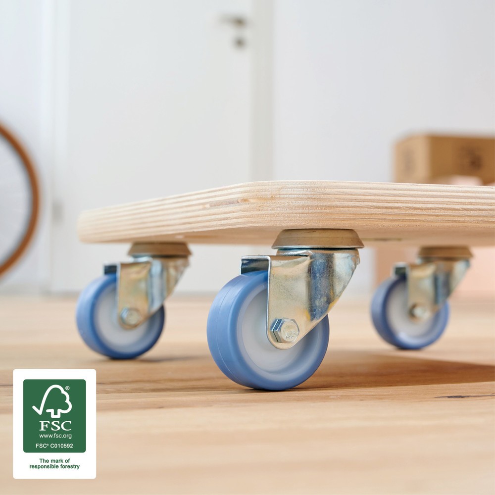 Produktabbildung Nr. 4: WAGNER Aide au transport BIRKE Multiplex - 29 x 29 x 8,5 cm, capacité de charge 250 Kg