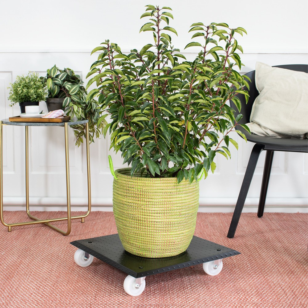 Produktabbildung Nr. 2: WAGNER Pflanzenroller ALASKA - 45 x 45 x 9,5 cm, TK 150 Kg