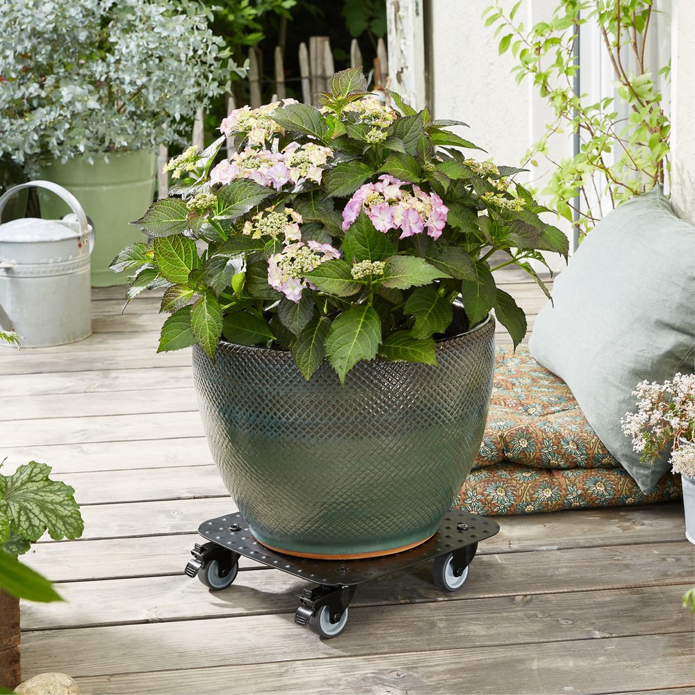 Produktabbildung Nr. 2: WAGNER Rouleur pour plantes ALASKA BLACK 29 x 29 x 7,5 cm, capacité de charge 150 kg
