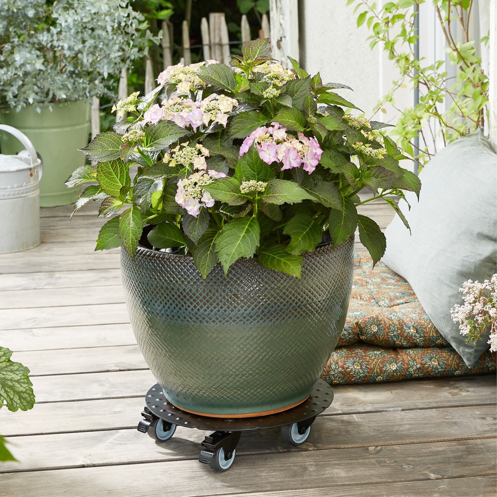 Produktabbildung Nr. 2: WAGNER Rouleur pour plantes ALASKA BLACK - Ø 30 x 7,5 cm, capacité de charge 150 kg