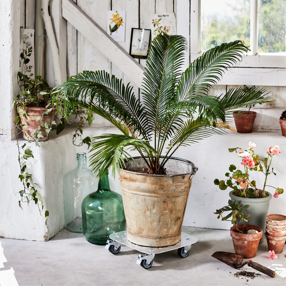Produktabbildung Nr. 2: WAGNER Rouleur pour plantes ALASKA - 29 x 29 x 7,5 cm alu, capacité de charge 150 kg