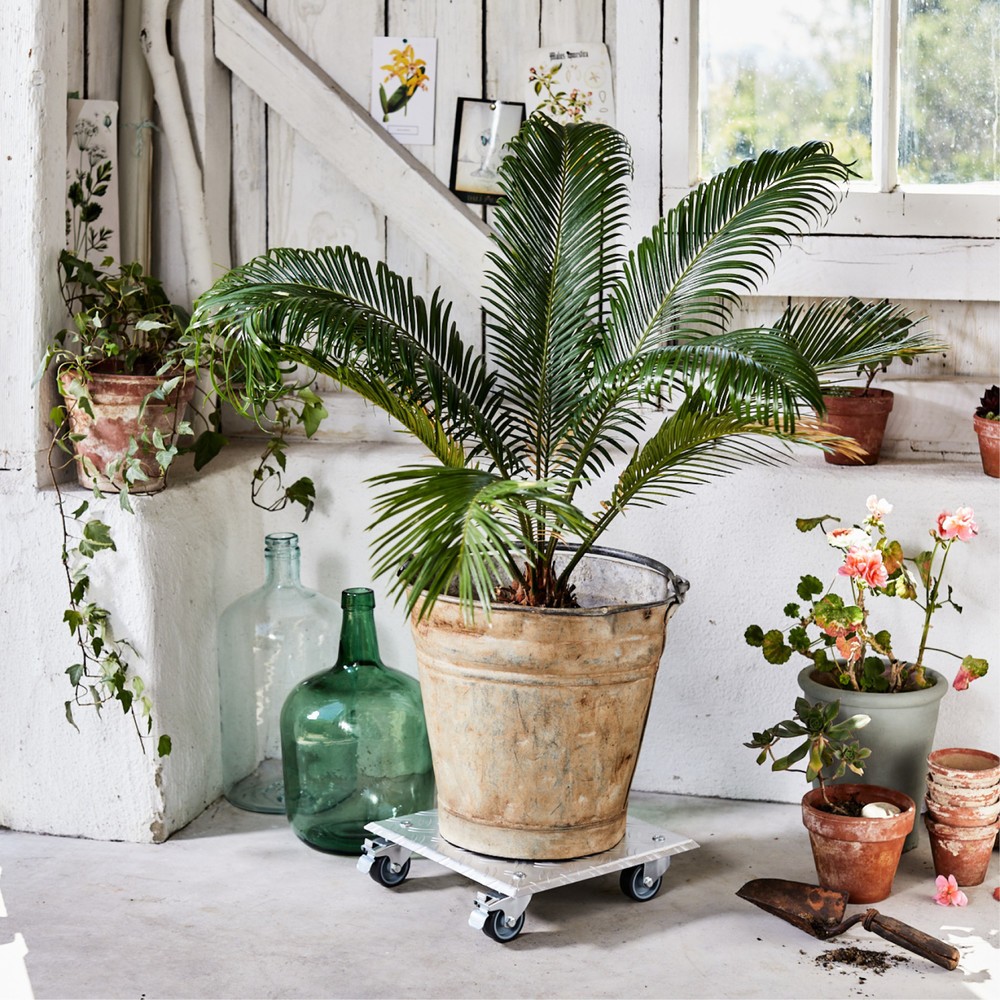 Produktabbildung Nr. 2: WAGNER Rouleur pour plantes ALASKA - 28 x 28 x 7,5 cm, alu, capacité de charge 150 kg