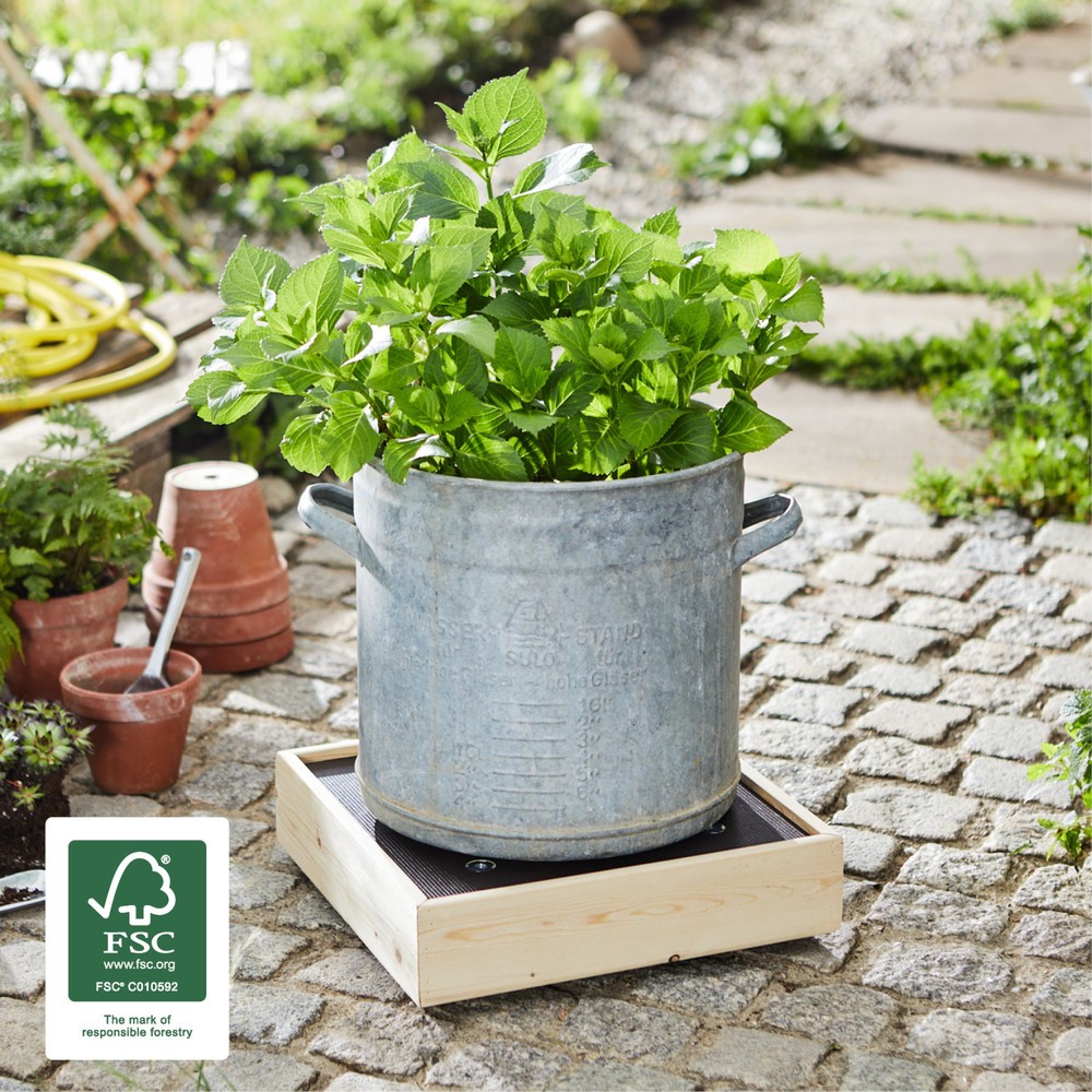 N° de l'image du produit 2 : WAGNER Rouleur pour plantes MAXIGRIP 38 x 38 x 14,5 cm, pin, capacité de charge 200 Kg