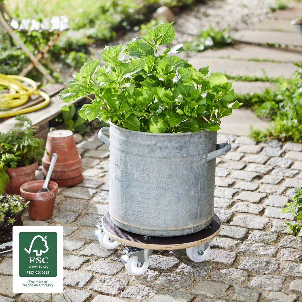 Produktabbildung Nr. 2: WAGNER Rouleur pour plantes MAXIGRIP Ø 38 x 11 cm, bois, capacité de charge 300 kg
